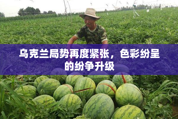 乌克兰局势再度紧张，色彩纷呈的纷争升级