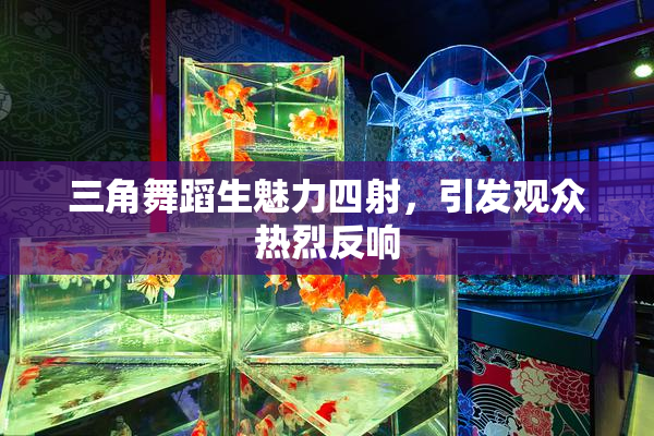 三角舞蹈生魅力四射，引发观众热烈反响