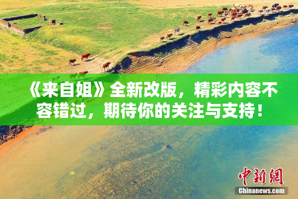《来自姐》全新改版，精彩内容不容错过，期待你的关注与支持！