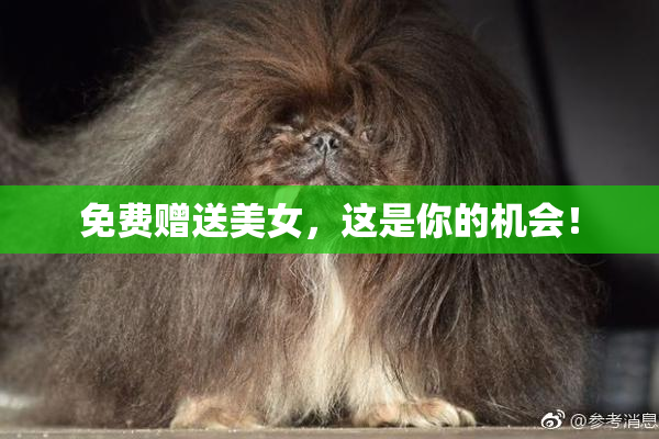 免费赠送美女，这是你的机会！