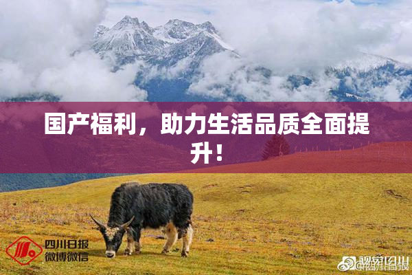 国产福利，助力生活品质全面提升！