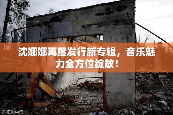 沈娜娜再度发行新专辑，音乐魅力全方位绽放！