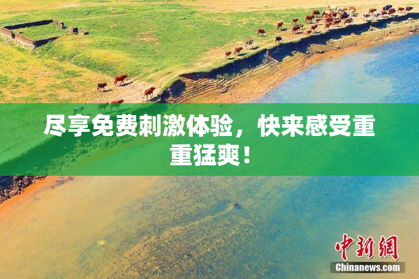 尽享免费刺激体验，快来感受重重猛爽！