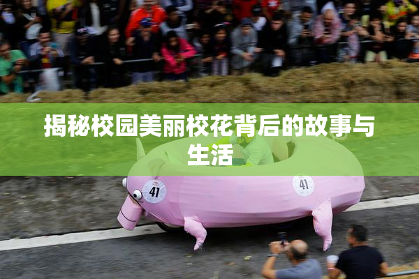 揭秘校园美丽校花背后的故事与生活