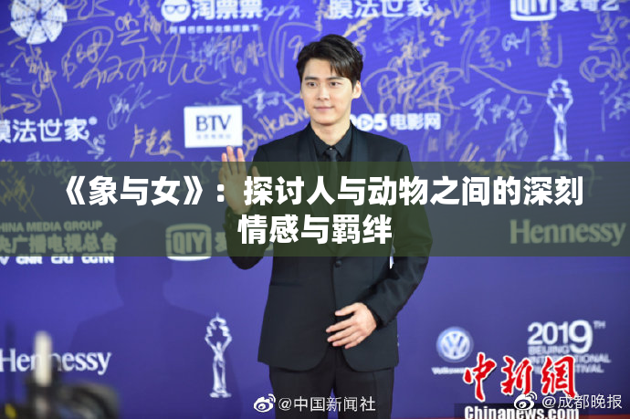《象与女》：探讨人与动物之间的深刻情感与羁绊