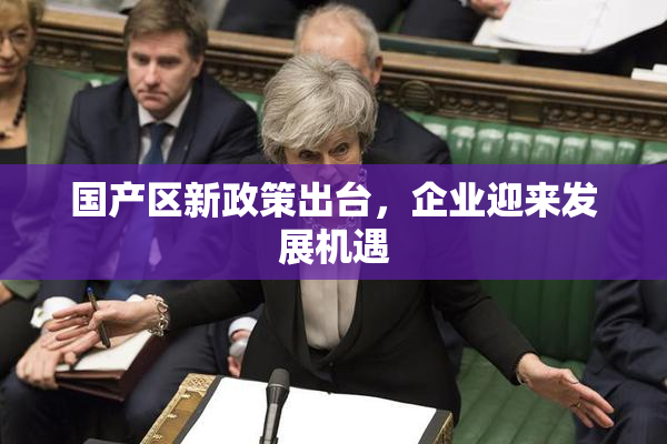 国产区新政策出台，企业迎来发展机遇