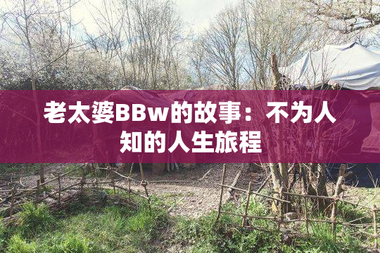 老太婆BBw的故事：不为人知的人生旅程