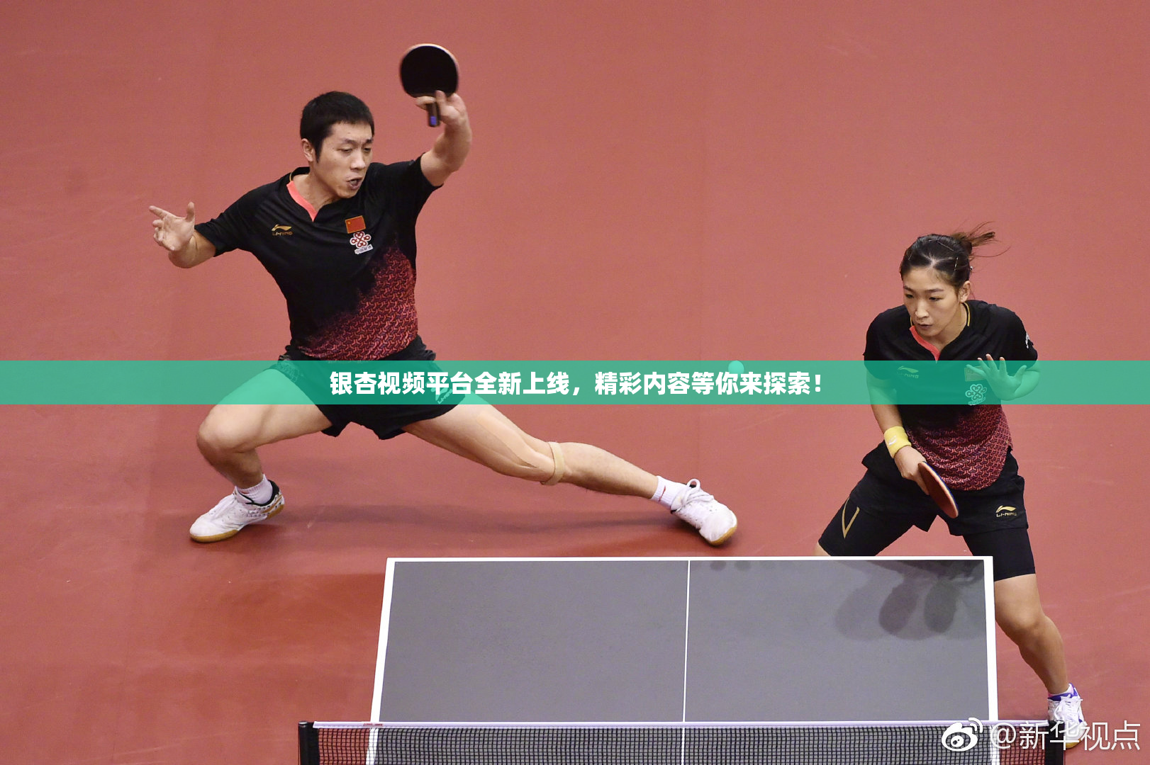 银杏视频平台全新上线，精彩内容等你来探索！