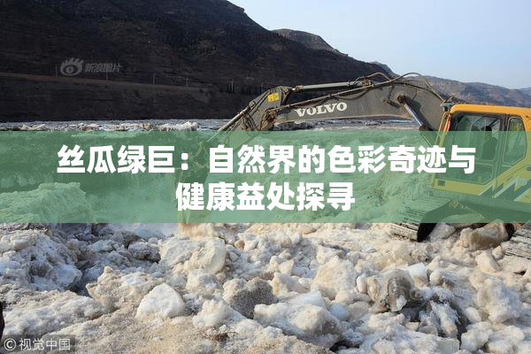 丝瓜绿巨：自然界的色彩奇迹与健康益处探寻