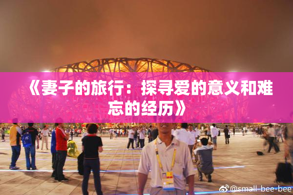 《妻子的旅行：探寻爱的意义和难忘的经历》