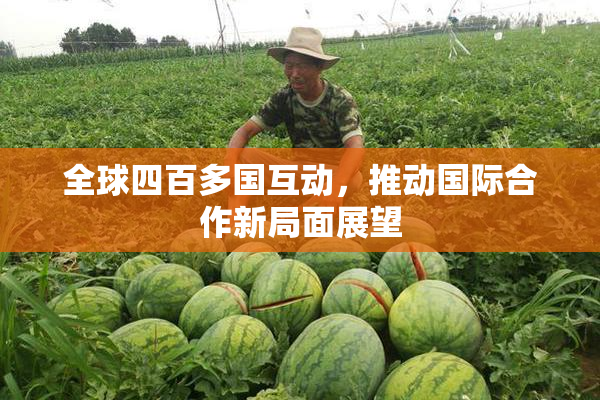 全球四百多国互动，推动国际合作新局面展望