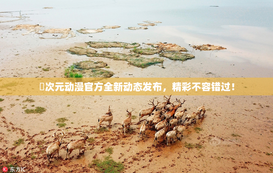 囧次元动漫官方全新动态发布，精彩不容错过！