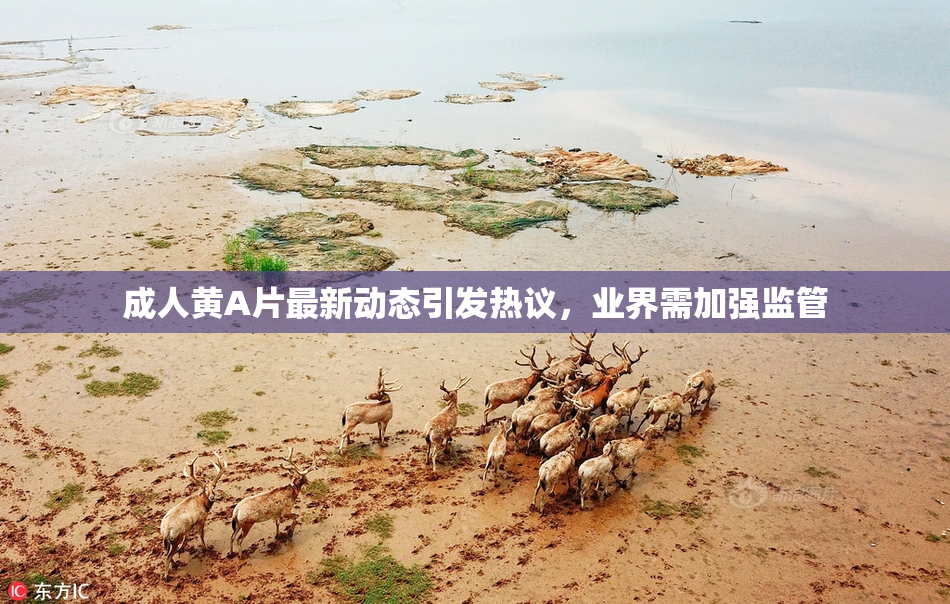 成人黄A片最新动态引发热议，业界需加强监管