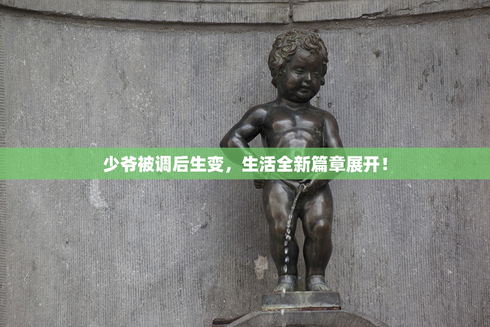 少爷被调后生变，生活全新篇章展开！