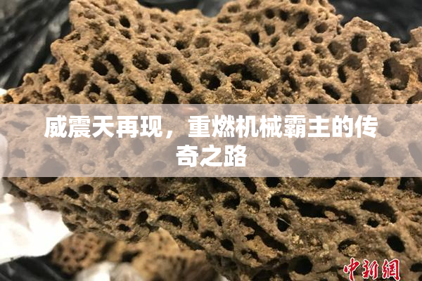威震天再现，重燃机械霸主的传奇之路