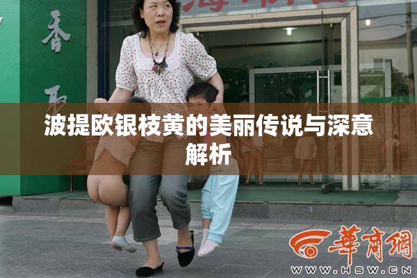 波提欧银枝黄的美丽传说与深意解析