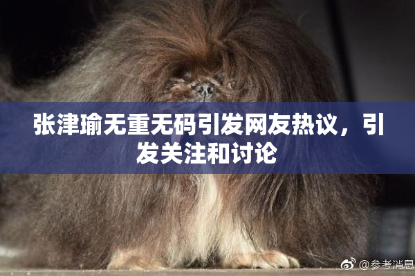 张津瑜无重无码引发网友热议，引发关注和讨论