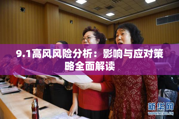 9.1高风风险分析：影响与应对策略全面解读