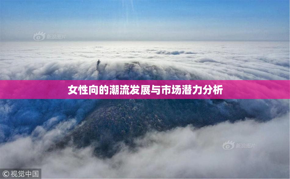 女性向的潮流发展与市场潜力分析