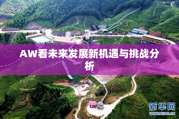 AW看未来发展新机遇与挑战分析