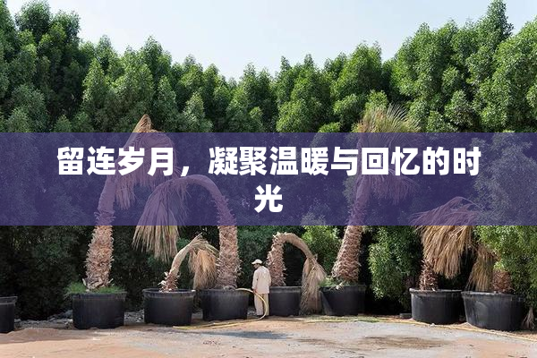 留连岁月，凝聚温暖与回忆的时光