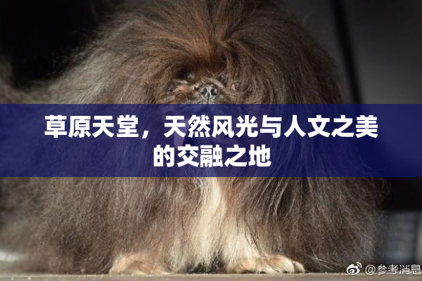 草原天堂，天然风光与人文之美的交融之地