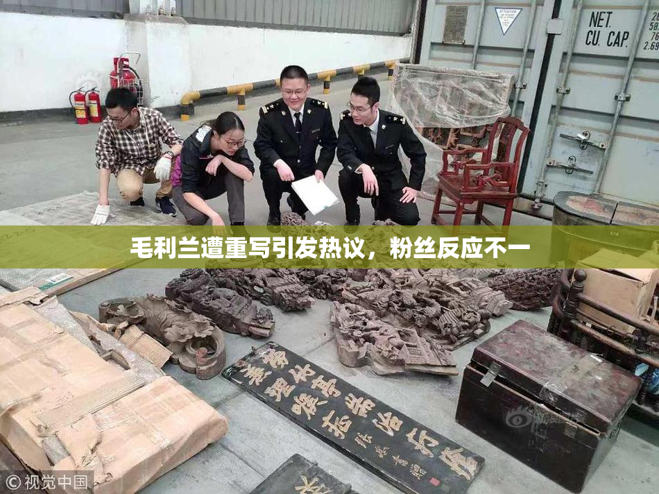 毛利兰遭重写引发热议，粉丝反应不一