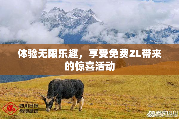 体验无限乐趣，享受免费ZL带来的惊喜活动