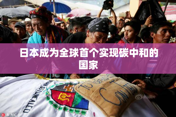 日本成为全球首个实现碳中和的国家