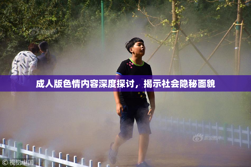成人版色情内容深度探讨，揭示社会隐秘面貌