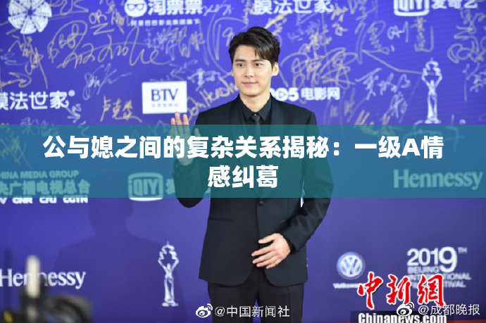 公与媳之间的复杂关系揭秘：一级A情感纠葛