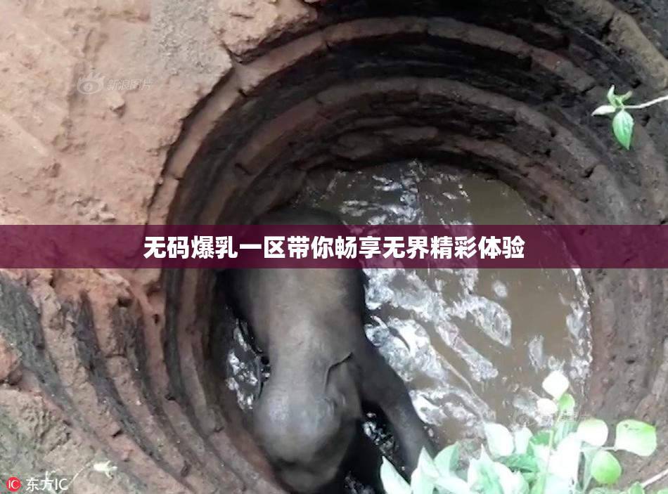 无码爆乳一区带你畅享无界精彩体验
