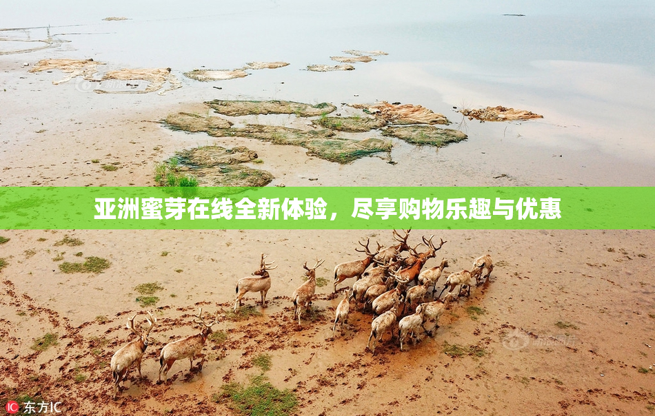 亚洲蜜芽在线全新体验，尽享购物乐趣与优惠