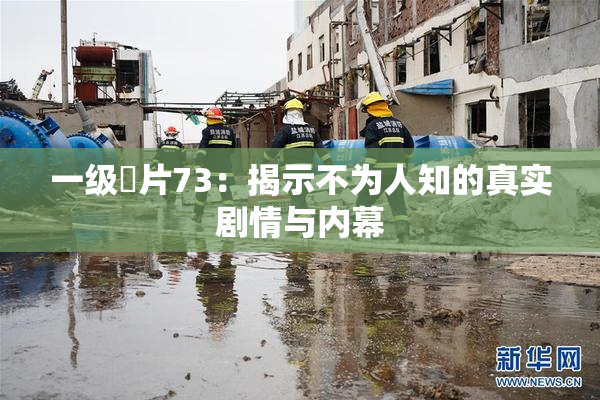 一级婬片73：揭示不为人知的真实剧情与内幕