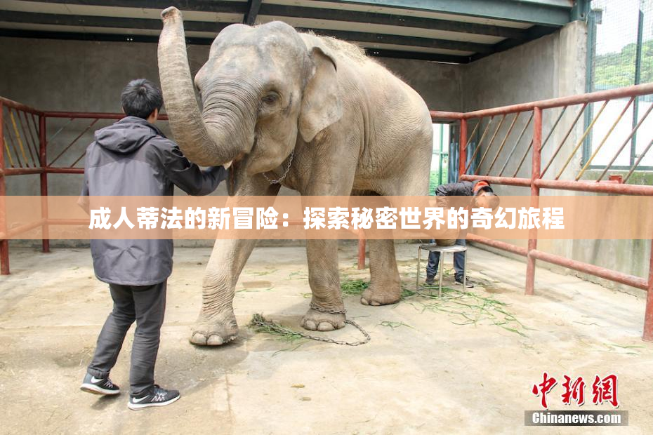 成人蒂法的新冒险：探索秘密世界的奇幻旅程