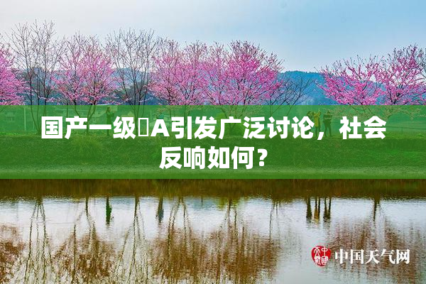 国产一级婬A引发广泛讨论，社会反响如何？