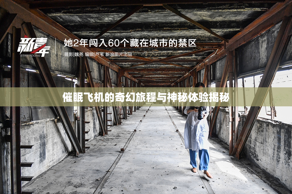 催眠飞机的奇幻旅程与神秘体验揭秘