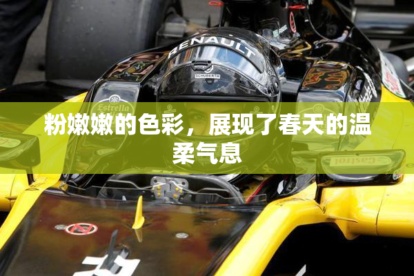 粉嫩嫩的色彩，展现了春天的温柔气息