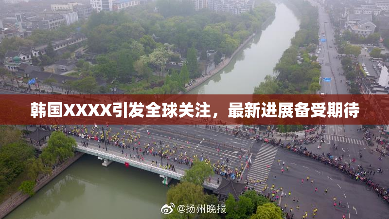 韩国XXXX引发全球关注，最新进展备受期待