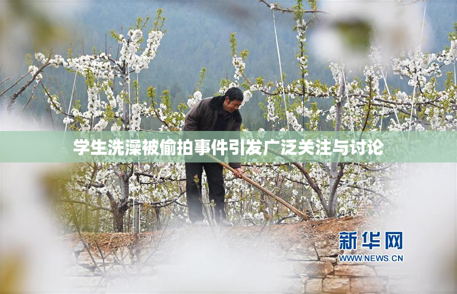 学生洗澡被偷拍事件引发广泛关注与讨论