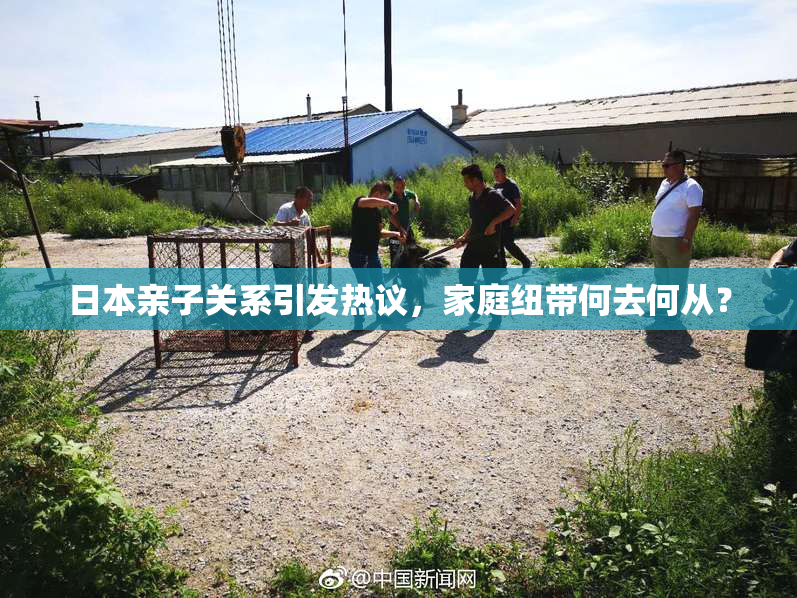 日本亲子关系引发热议，家庭纽带何去何从？
