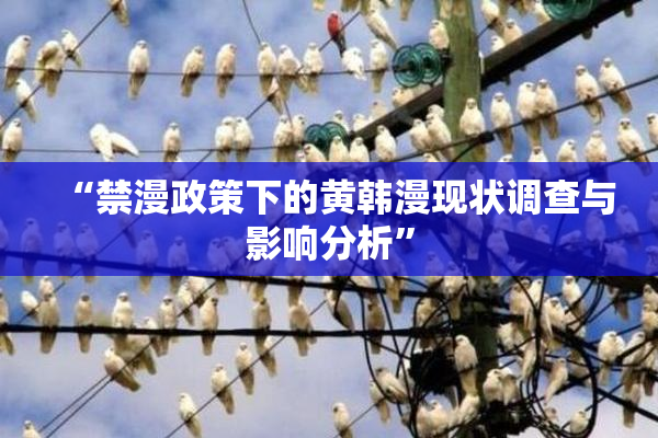 “禁漫政策下的黄韩漫现状调查与影响分析”