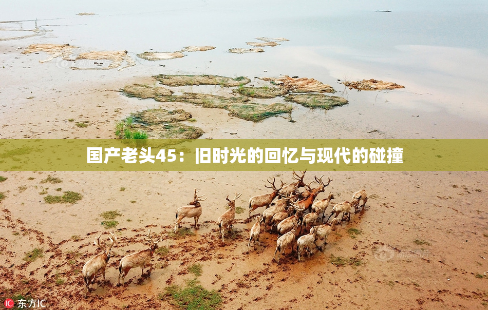 国产老头45：旧时光的回忆与现代的碰撞