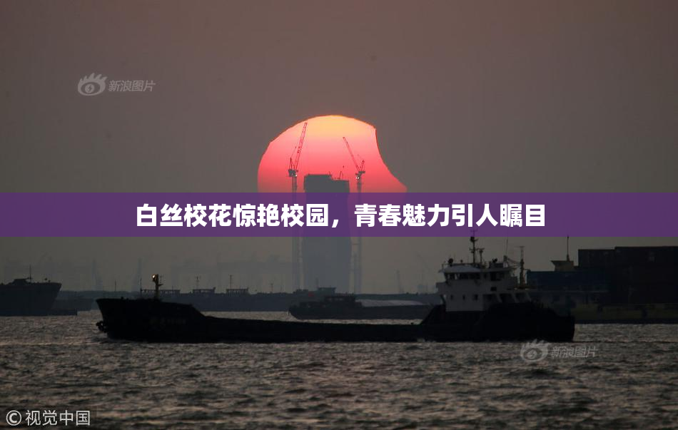 白丝校花惊艳校园，青春魅力引人瞩目