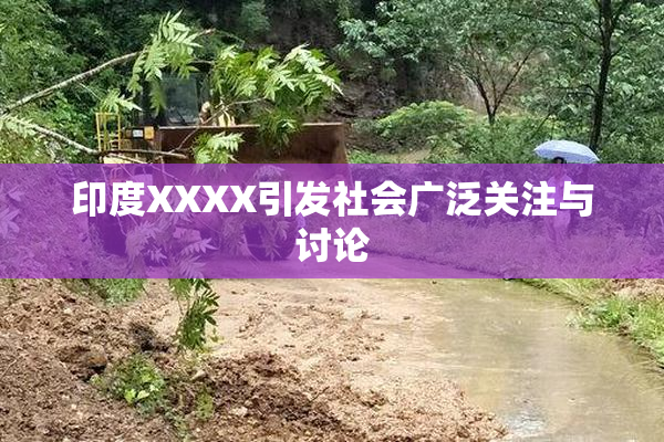 印度XXXX引发社会广泛关注与讨论