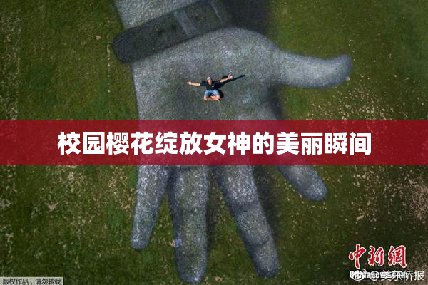 校园樱花绽放女神的美丽瞬间