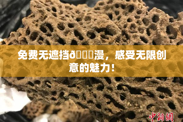 免费无遮挡🔞漫，感受无限创意的魅力！