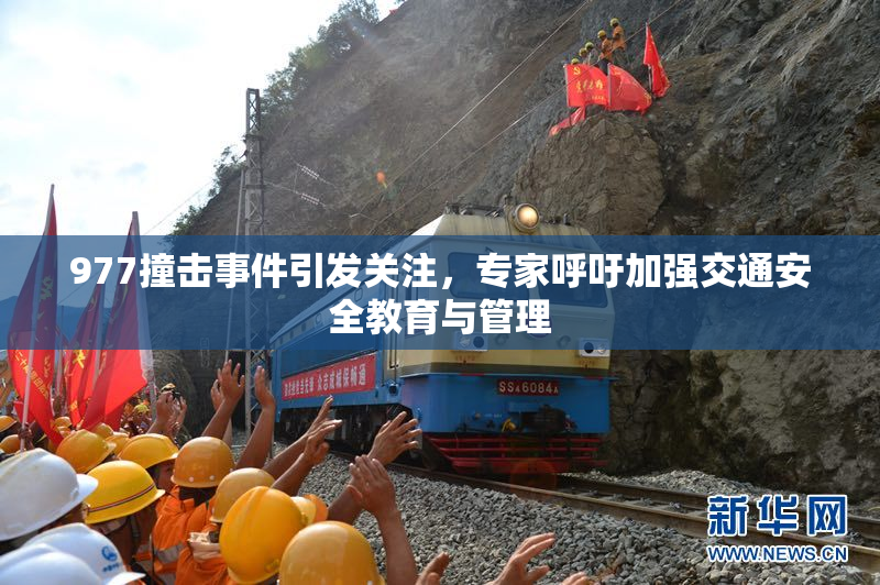977撞击事件引发关注，专家呼吁加强交通安全教育与管理