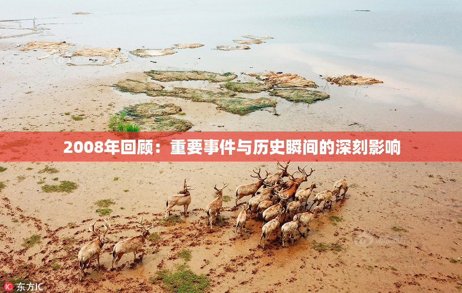 2008年回顾：重要事件与历史瞬间的深刻影响