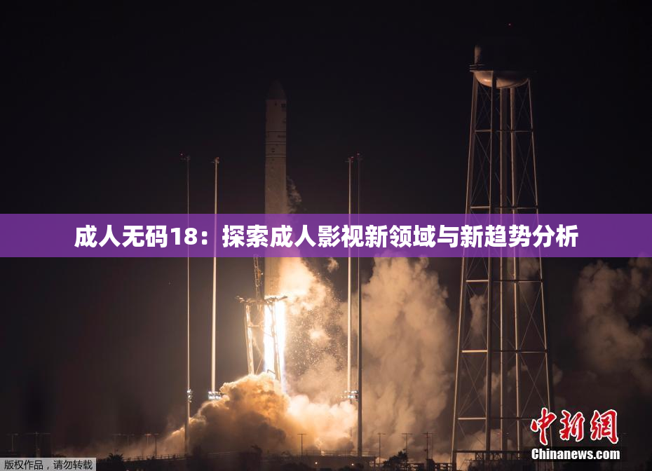 成人无码18：探索成人影视新领域与新趋势分析